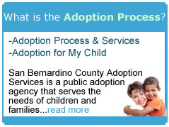 What is the adoption process image